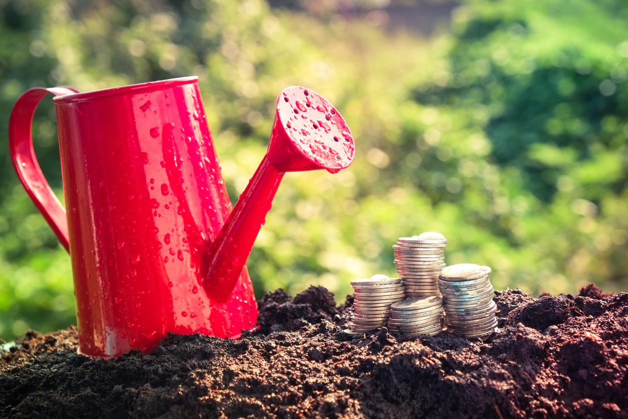 Building Wealth